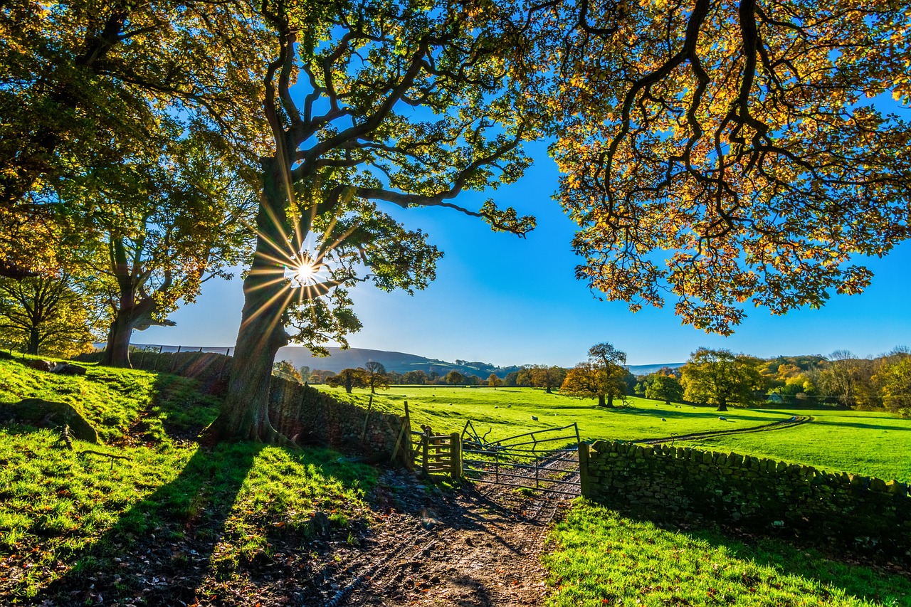 Making the Case for Community Wind Farms